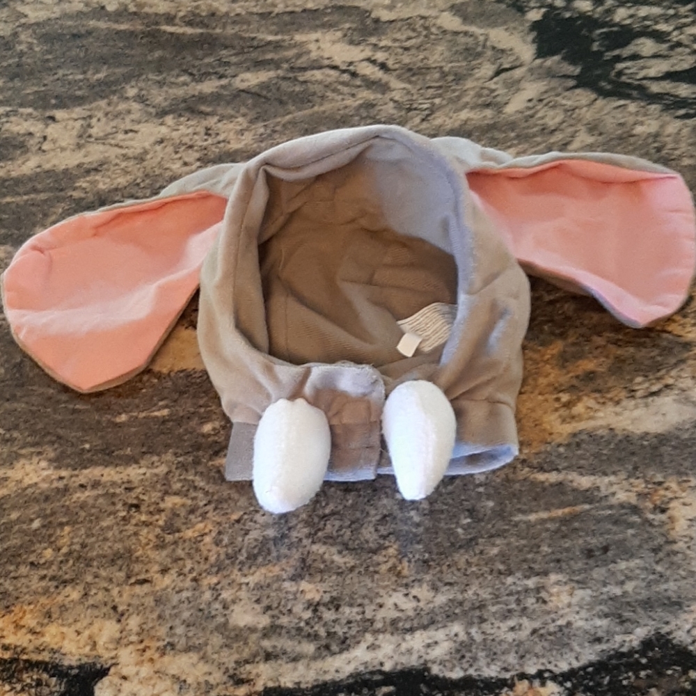 Custom for an elephant head with tusks